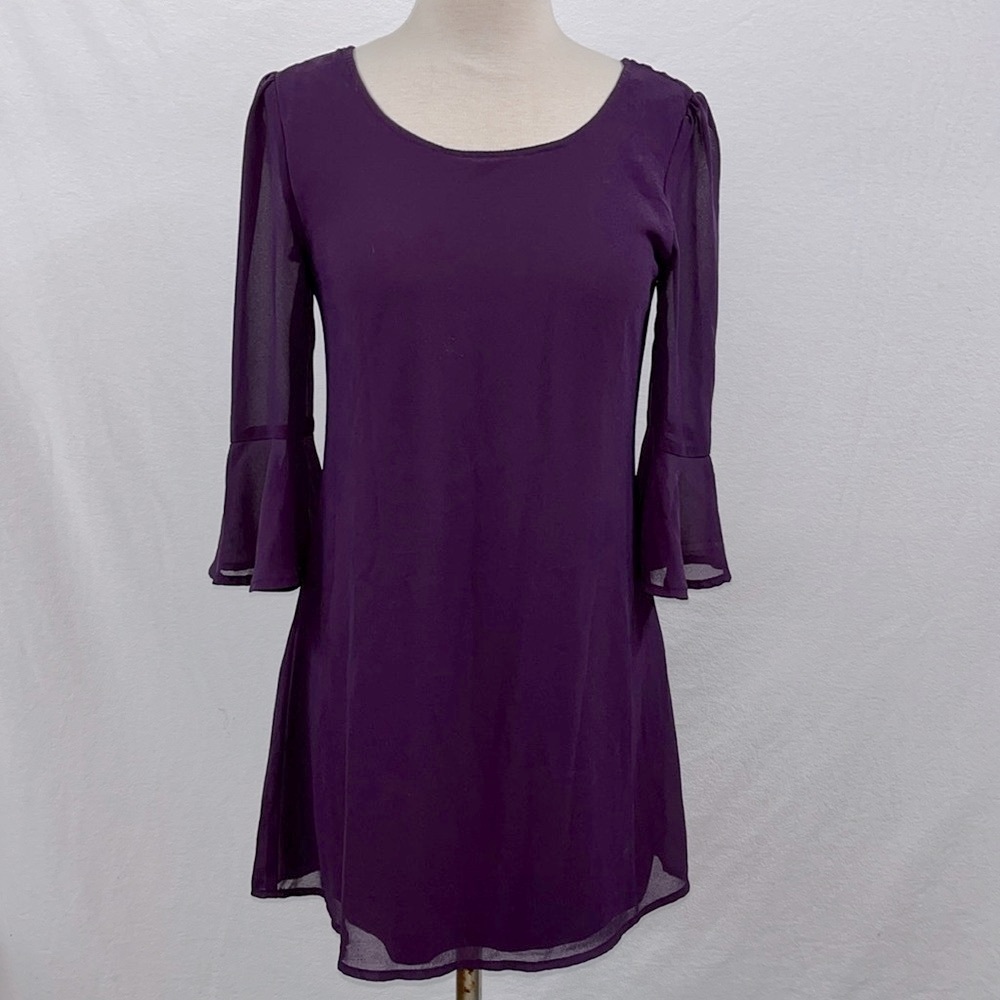 Speechless Plum Tunic Top with Sheer Sleeves